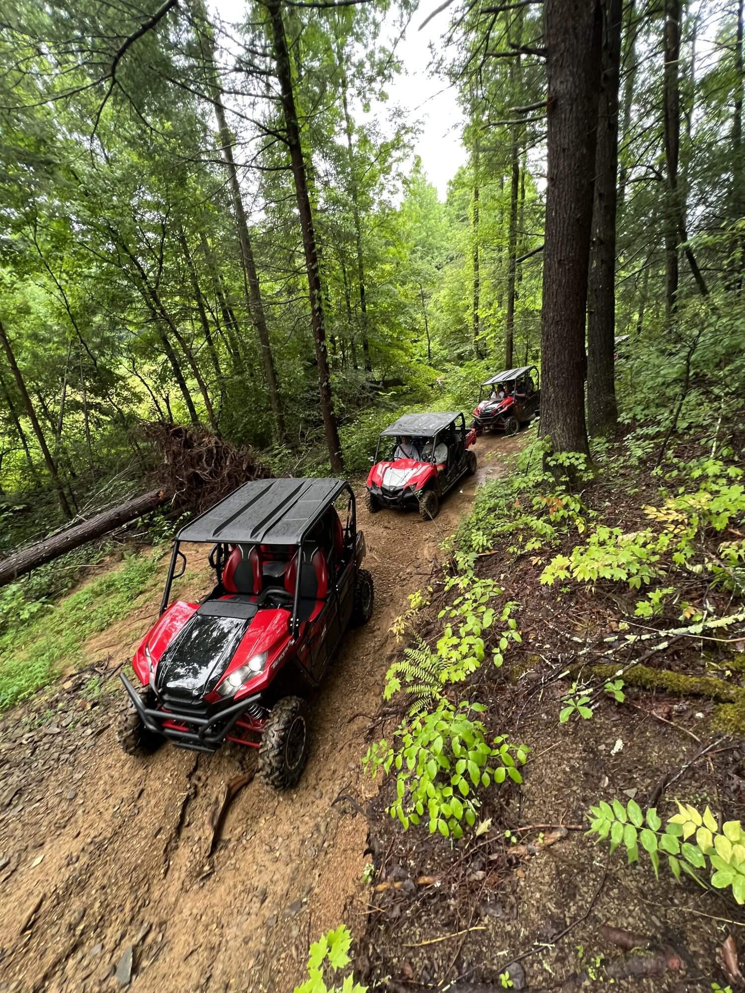 smoky mountain utv tour